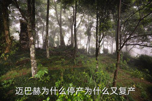 邁巴赫為什么停產(chǎn)為什么又復產(chǎn)