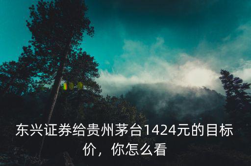 東興證券給貴州茅臺1424元的目標(biāo)價，你怎么看