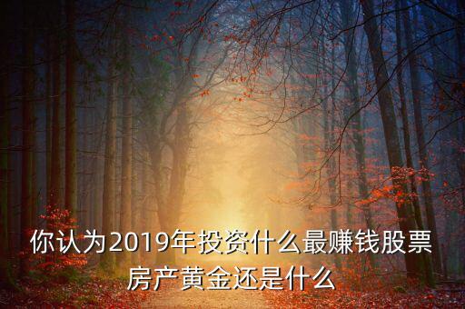 你認為2019年投資什么最賺錢股票房產(chǎn)黃金還是什么