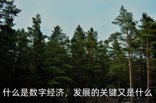 什么是數(shù)字經(jīng)濟，發(fā)展的關(guān)鍵又是什么