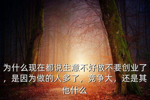 為什么現在都說生意不好做不要創(chuàng)業(yè)了，是因為做的人多了，競爭大，還是其他什么
