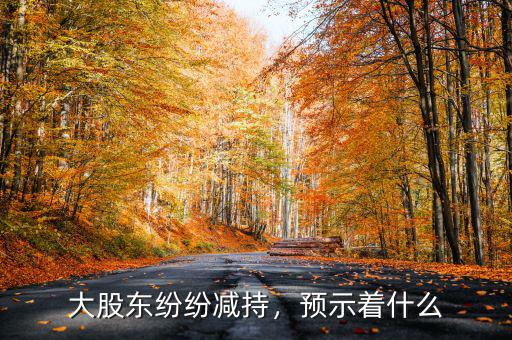 大股東紛紛減持，預(yù)示著什么