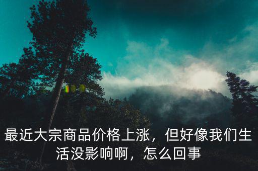 最近大宗商品價格上漲，但好像我們生活沒影響啊，怎么回事