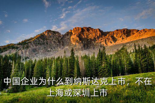 中國企業(yè)為什么到納斯達(dá)克上市，不在上?；蛏钲谏鲜? class=
