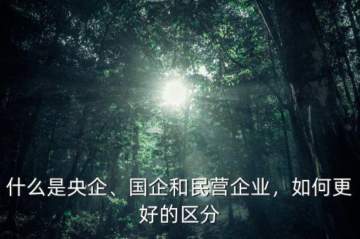 什么是央企、國企和民營企業(yè)，如何更好的區(qū)分