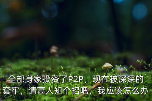 全部身家投資了P2P，現(xiàn)在被深深的套牢，請高人知個招吧，我應(yīng)該怎么辦
