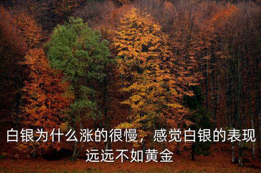 白銀為什么漲的很慢，感覺白銀的表現(xiàn)遠遠不如黃金