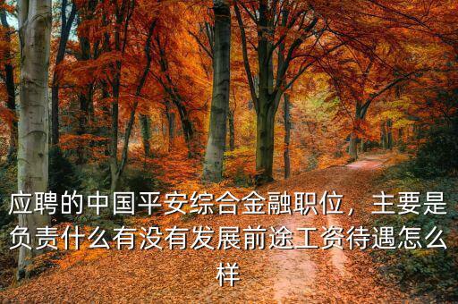 應(yīng)聘的中國平安綜合金融職位，主要是負責什么有沒有發(fā)展前途工資待遇怎么樣