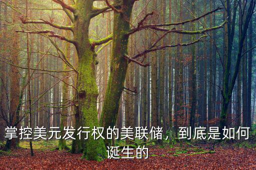 掌控美元發(fā)行權(quán)的美聯(lián)儲，到底是如何誕生的