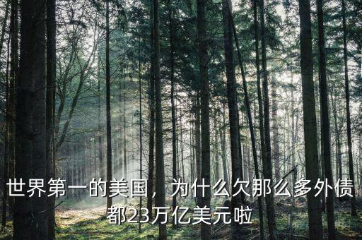 世界第一的美國，為什么欠那么多外債都23萬億美元啦