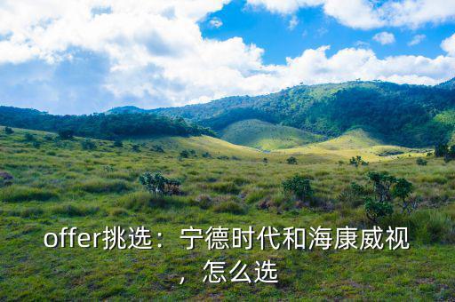 ?？低曔@家公司怎么樣,寧德時(shí)代和海康威視