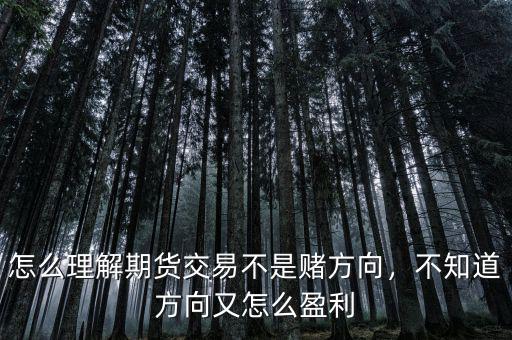怎么理解期貨交易不是賭方向，不知道方向又怎么盈利