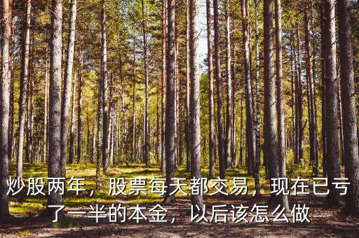 炒股兩年，股票每天都交易，現(xiàn)在已虧了一半的本金，以后該怎么做