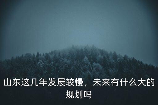 山東這幾年發(fā)展較慢，未來有什么大的規(guī)劃嗎