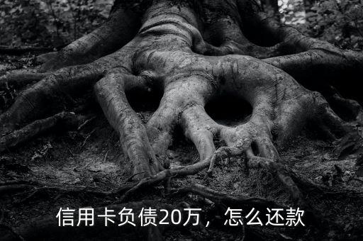 信用卡負債20萬，怎么還款