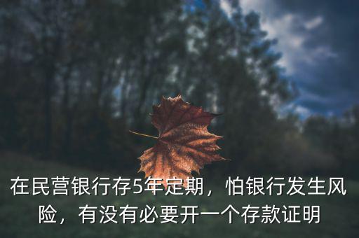 在民營(yíng)銀行存5年定期，怕銀行發(fā)生風(fēng)險(xiǎn)，有沒(méi)有必要開(kāi)一個(gè)存款證明