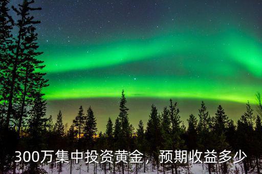 300萬集中投資黃金，預期收益多少