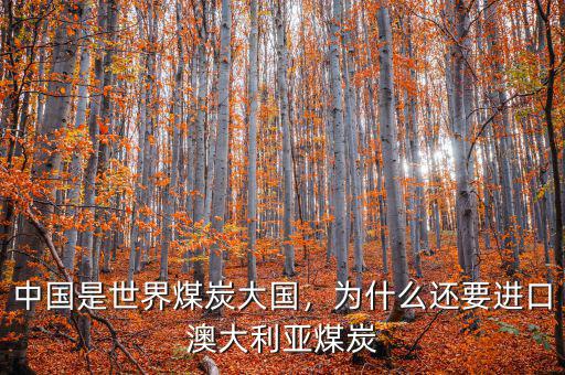 中國是世界煤炭大國，為什么還要進(jìn)口澳大利亞煤炭