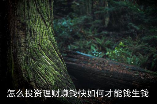 怎么投資理財(cái)賺錢(qián)快如何才能錢(qián)生錢(qián)