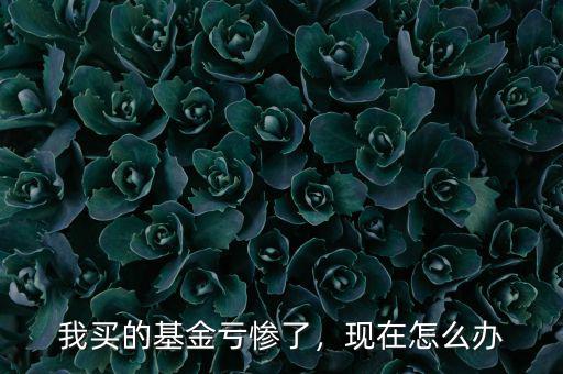 我買的基金虧慘了，現(xiàn)在怎么辦