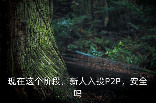 現(xiàn)在這個階段，新人入投P2P，安全嗎