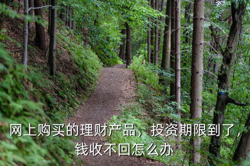 網(wǎng)上購買的理財產(chǎn)品，投資期限到了，錢收不回怎么辦