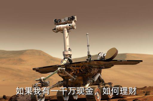 如果我有一千萬(wàn)現(xiàn)金，如何理財(cái)