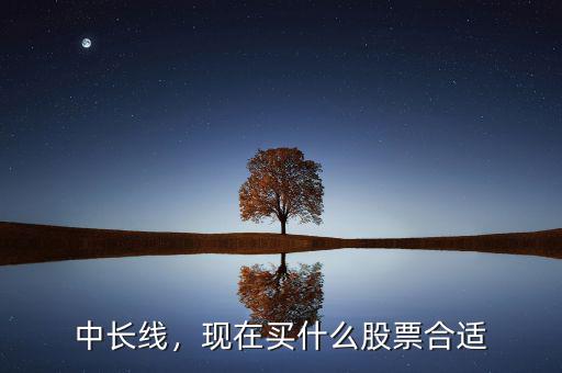 中長線，現(xiàn)在買什么股票合適