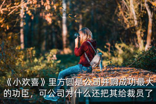 《小歡喜》里方圓是公司并購(gòu)成功最大的功臣，可公司為什么還把其給裁員了