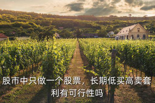 股市中只做一個股票，長期低買高賣套利有可行性嗎