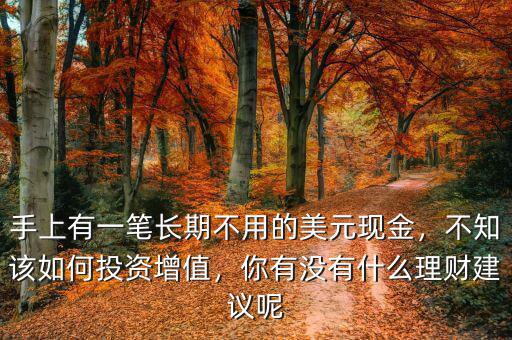 手上有一筆長期不用的美元現(xiàn)金，不知該如何投資增值，你有沒有什么理財(cái)建議呢