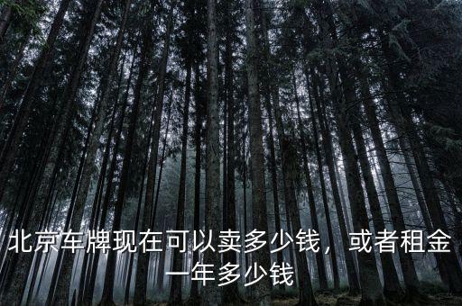 北京車牌現(xiàn)在可以賣多少錢，或者租金一年多少錢