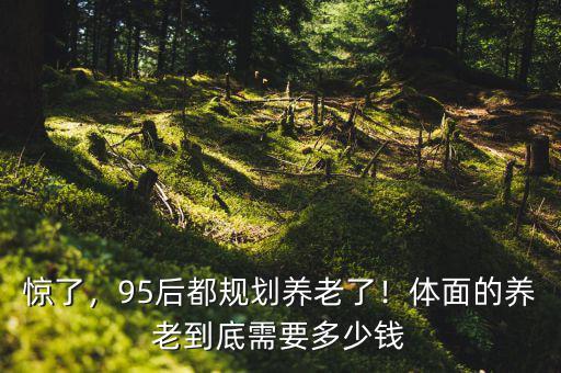 九零后要有多少錢(qián)可以養(yǎng)老,要準(zhǔn)備多少存款養(yǎng)老才合理