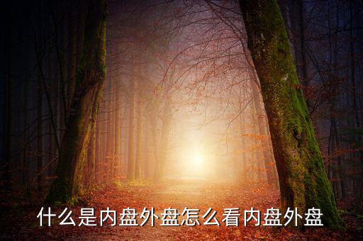 什么是外盤和內盤,怎么看內盤外盤