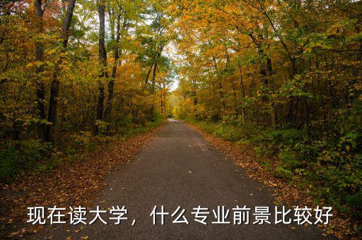 現(xiàn)在讀大學，什么專業(yè)前景比較好