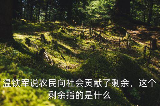 溫鐵軍說農(nóng)民向社會貢獻(xiàn)了剩余，這個剩余指的是什么