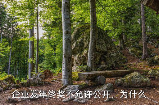 企業(yè)發(fā)年終獎不允許公開，為什么