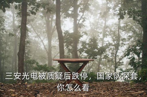 三安光電被質(zhì)疑后跌停，國家隊(duì)深套，你怎么看