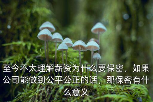 至今不太理解薪資為什么要保密，如果公司能做到公平公正的話，那保密有什么意義