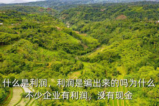 什么是利潤，利潤是編出來的嗎為什么不少企業(yè)有利潤，沒有現(xiàn)金