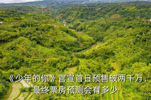 《少年的你》官宣首日預(yù)售破兩千萬(wàn)，最終票房預(yù)測(cè)會(huì)有多少