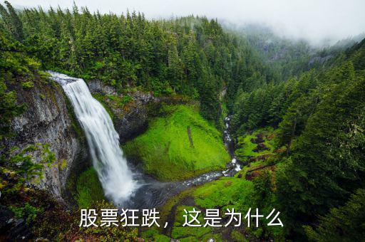 股票狂跌，這是為什么