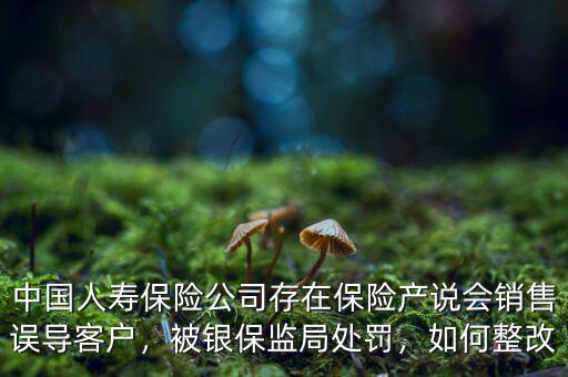 中國人壽保險公司存在保險產(chǎn)說會銷售誤導(dǎo)客戶，被銀保監(jiān)局處罰，如何整改