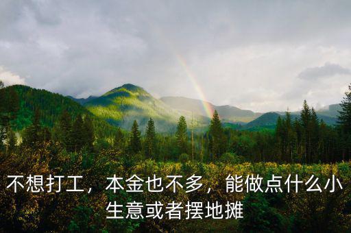 不想打工，本金也不多，能做點什么小生意或者擺地攤