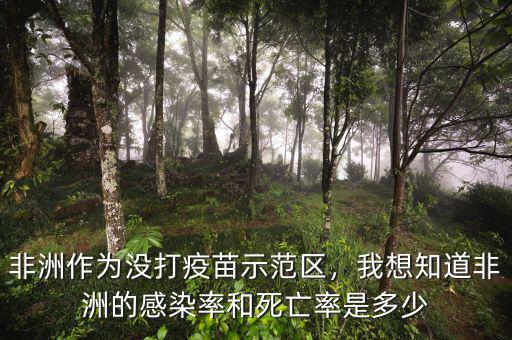 非洲作為沒(méi)打疫苗示范區(qū)，我想知道非洲的感染率和死亡率是多少