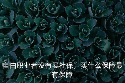 自由職業(yè)者沒(méi)有買社保，買什么保險(xiǎn)最有保障