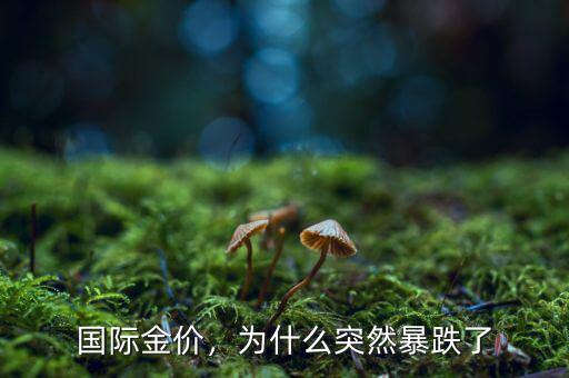 大連國際為什么跌,但房?jī)r(jià)為什么沒有降