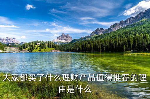 大家都買了什么理財產品值得推薦的理由是什么