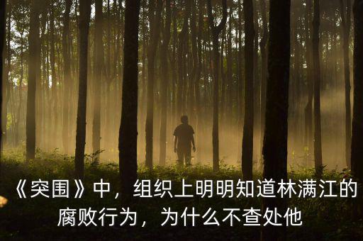 《突圍》中，組織上明明知道林滿(mǎn)江的腐敗行為，為什么不查處他