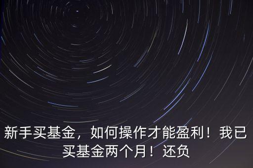 新手買(mǎi)基金，如何操作才能盈利！我已買(mǎi)基金兩個(gè)月！還負(fù)